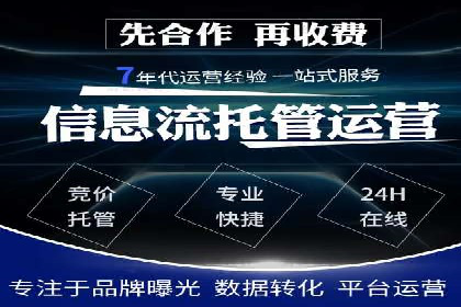 SEM代理服务：助力企业精准营销案例解析